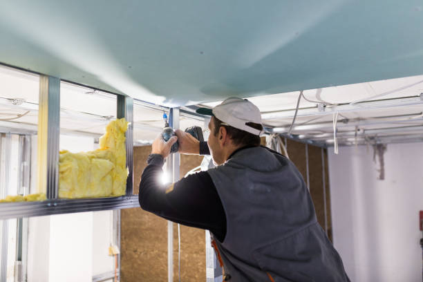 Best Insulation Replacement Services  in Trophy Clu, TX