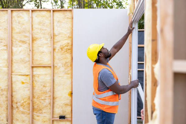 Best Attic Insulation Installation  in Trophy Clu, TX