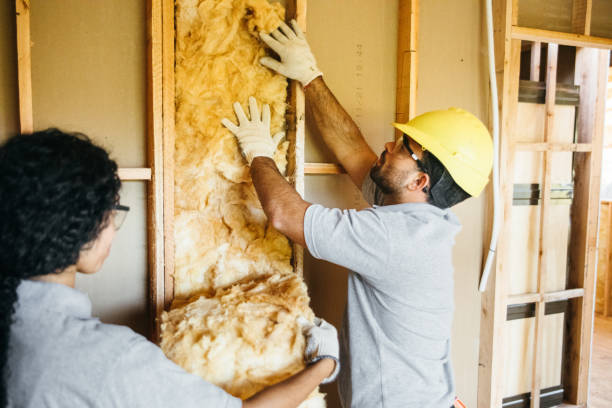 Professional Insulation Contractor in Trophy Clu, TX
