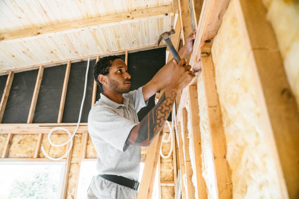 Best Attic Insulation Installation  in Trophy Clu, TX