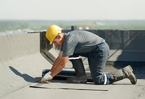 Best Insulation Inspection Services  in Trophy Clu, TX