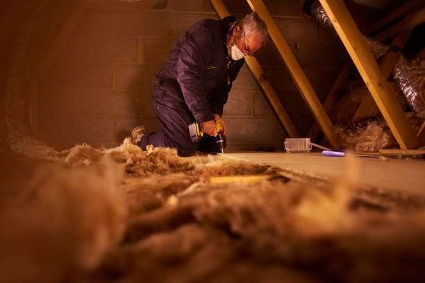 Best Cellulose Insulation  in Trophy Clu, TX