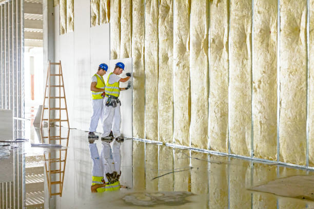 Best Best Insulation Companies  in Trophy Clu, TX